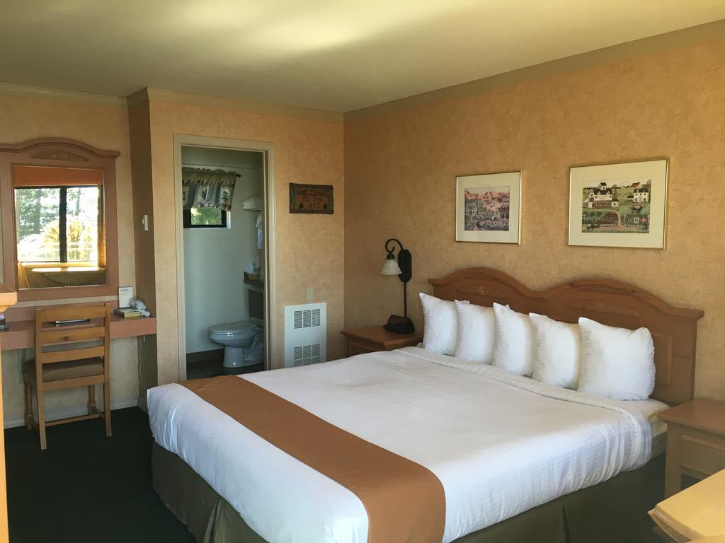 Pepper Tree Tahoe